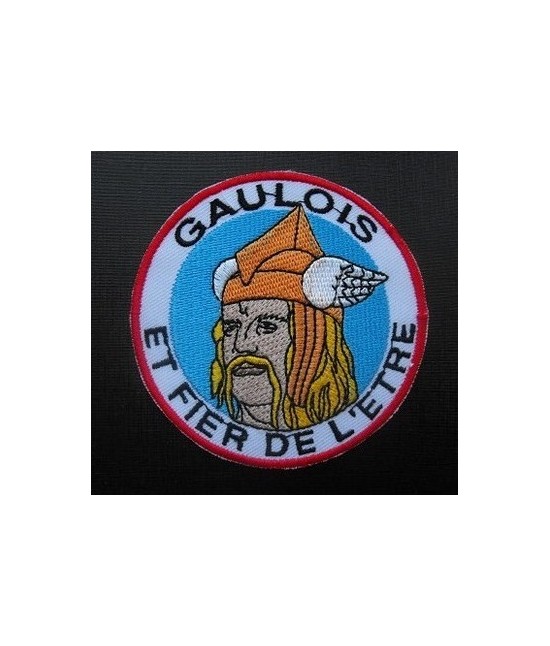 GAULOIS ET FIER DE L'ETRE GAULOIS ET FIER DE L'ETRE