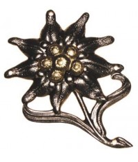 INSIGNE DE BERET ALLEMAND EDELWEISS